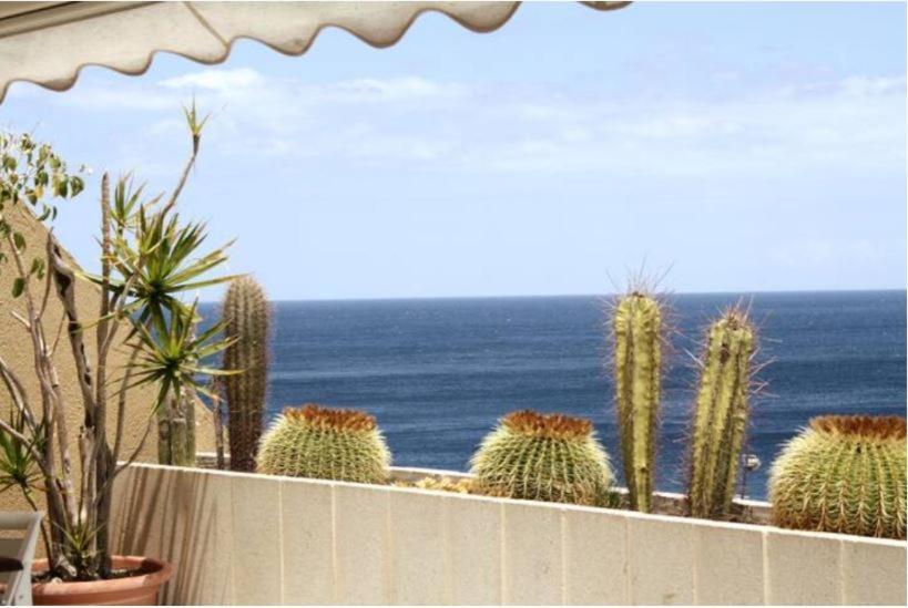 Apartamento Frente Al Mar Radazul Exterior foto